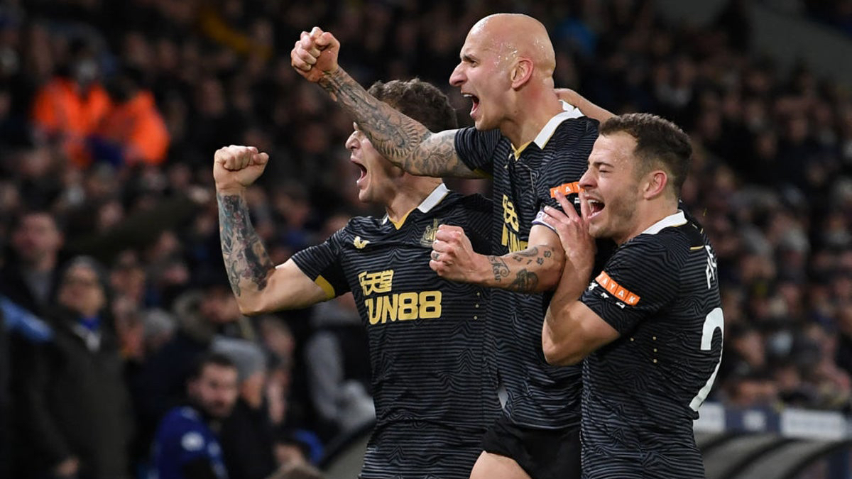 PRONOSTICI CALCIO NEWCASTLE-EVERTON: ANTICIPO AL SAPOR DI SALVEZZA