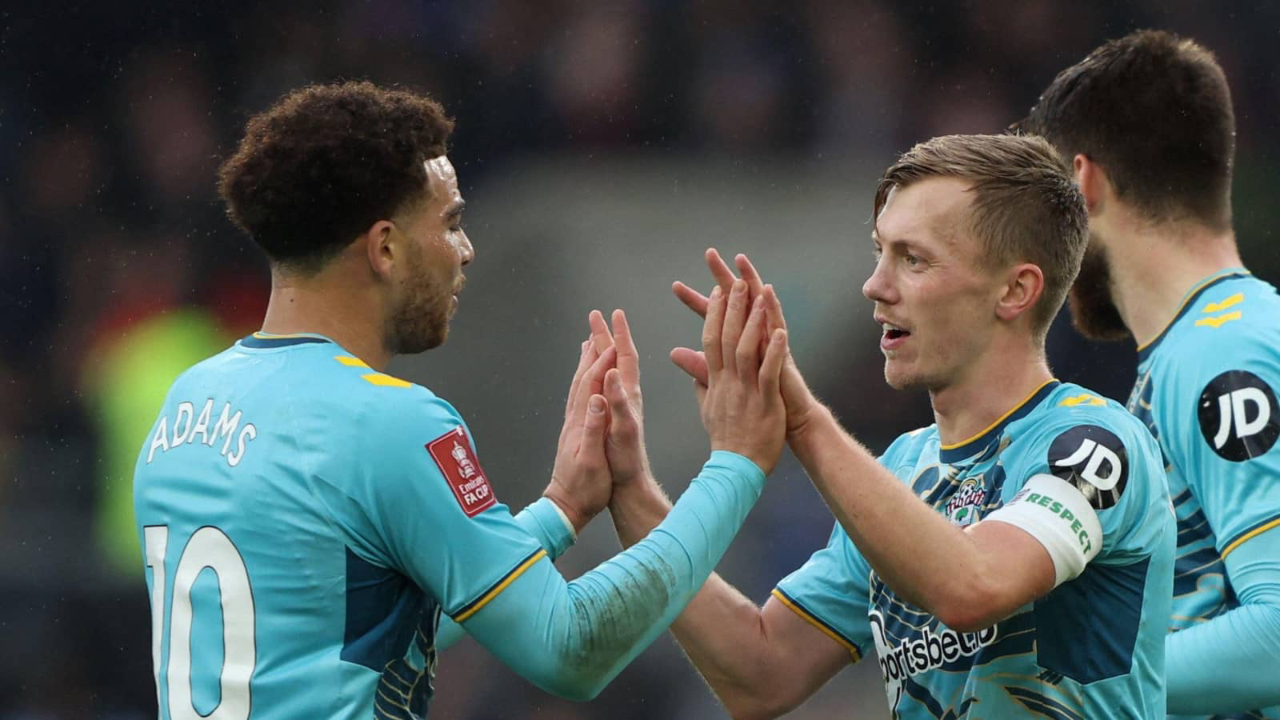 SOUTHAMPTON-WOLVERHAMPTON: STATISTICHE, QUOTE E PRONOSTICO SOUTHAMPTON-WOLVERHAMPTON: STATISTICHE, QUOTE E PRONOSTICO