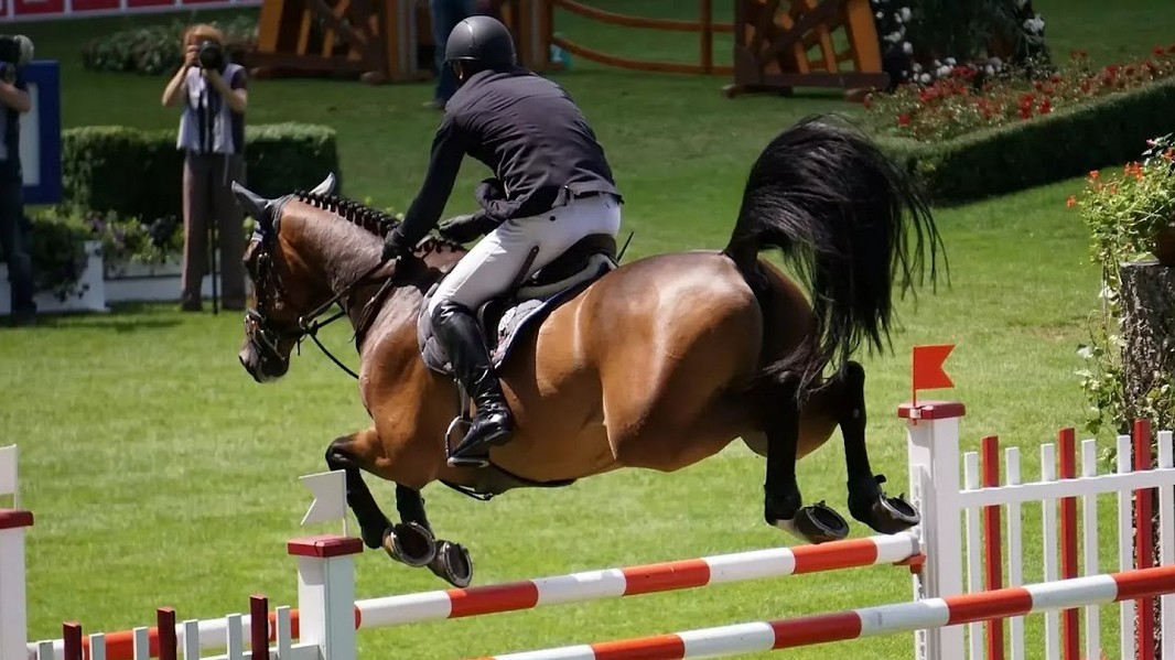 Bet365 ippica: guida al palinsesto delle corse, quote e tanto altro