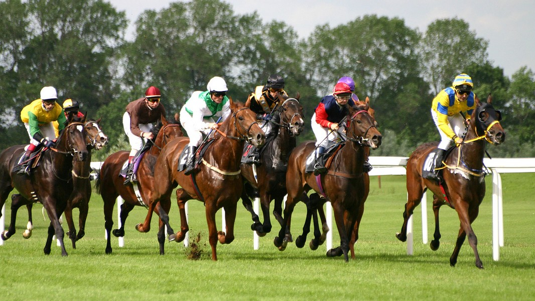 Ippica eurobet: panoramica della piattaforma e consigli vincenti