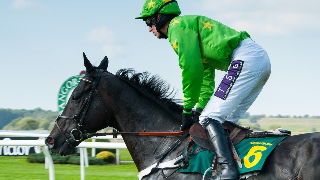 Sisal match point ippica: giocare alle scommesse ippiche con sisal