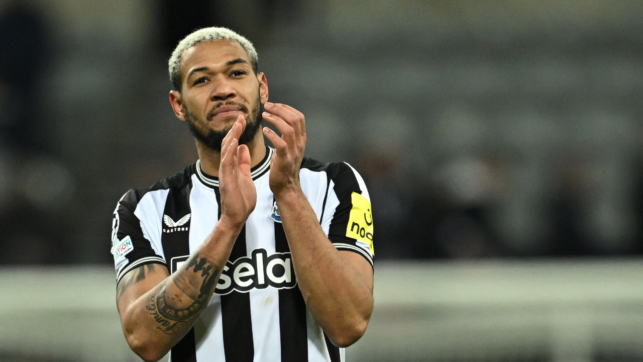 LUTON TOWN-NEWCASTLE: STATISTICHE, QUOTE E PRONOSTICO