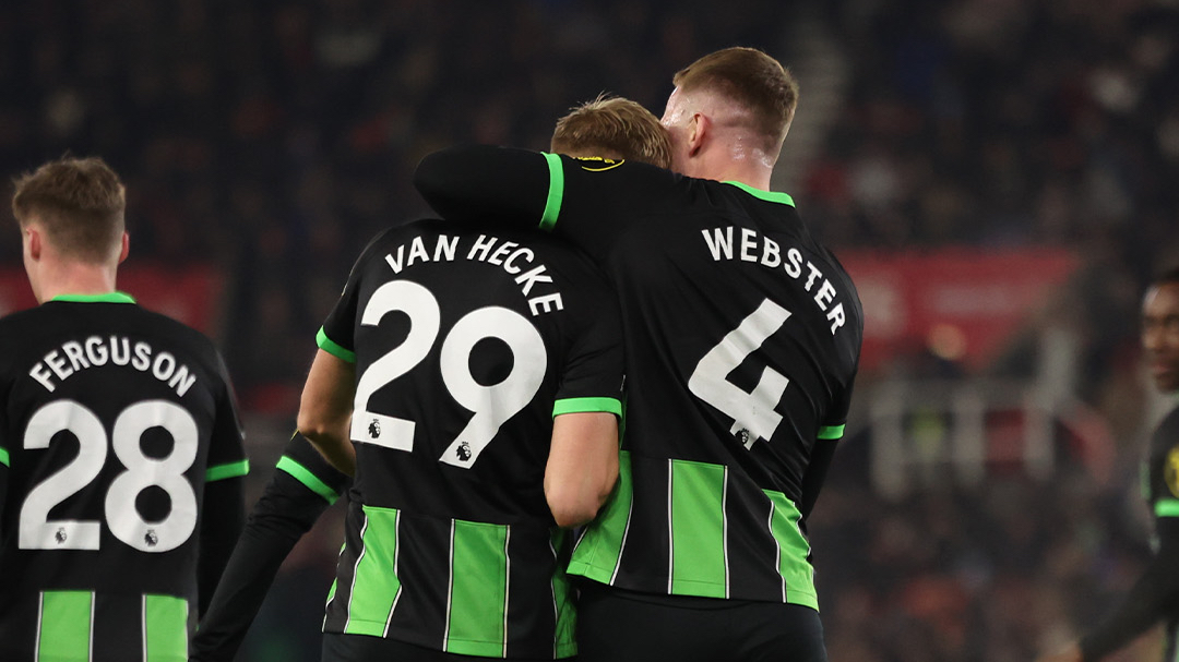 SHEFFIELD UNITED-BRIGHTON: STATISTICHE, QUOTE E PRONOSTICO