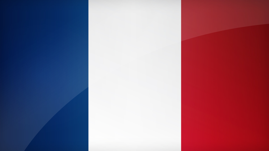 Francia europei: storia, tronfi e aspettative per il torneo