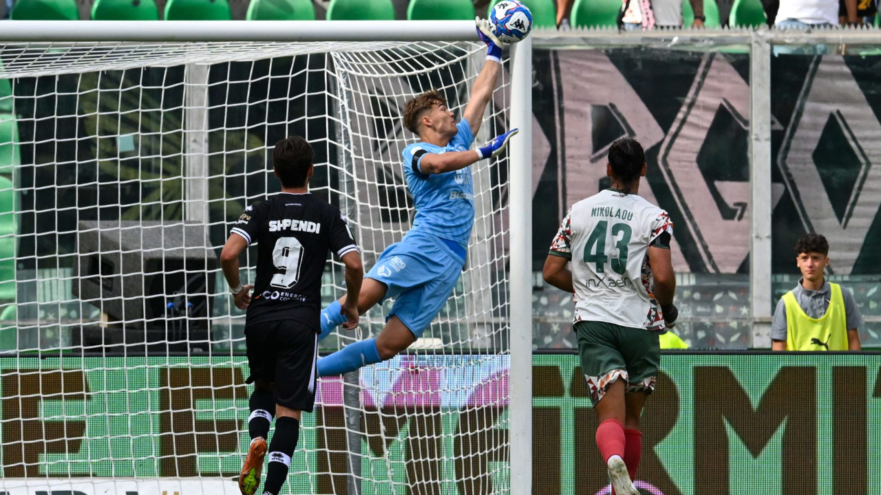 PALERMO-CITTADELLA: STATISTICHE, QUOTE E PRONOSTICO