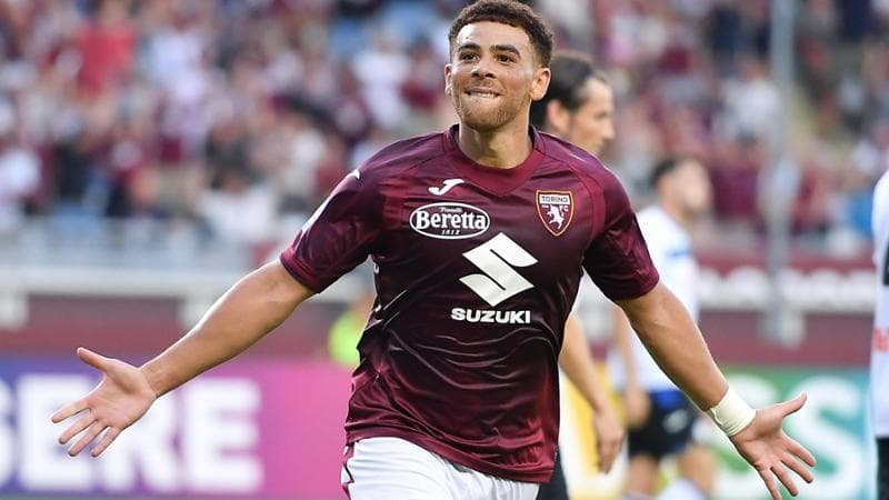 TORINO-GENOA: STATISTICHE, QUOTE E PRONOSTICO TORINO-GENOA: STATISTICHE, QUOTE E PRONOSTICO