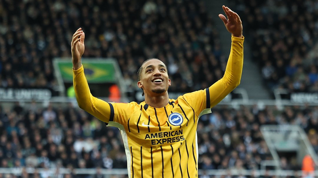 CRYSTAL PALACE-BRIGHTON: STATISTICHE, QUOTE E PRONOSTICO