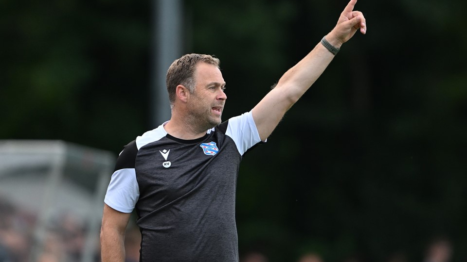 HEERENVEEN-VOLENDAM: STATISTICHE, QUOTE E PRONOSTICO